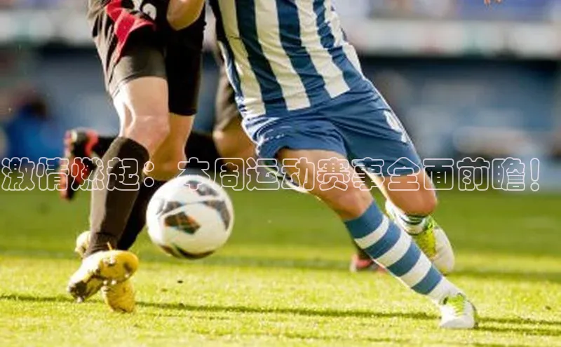 欧陆注册点登录入口官网百度翻译