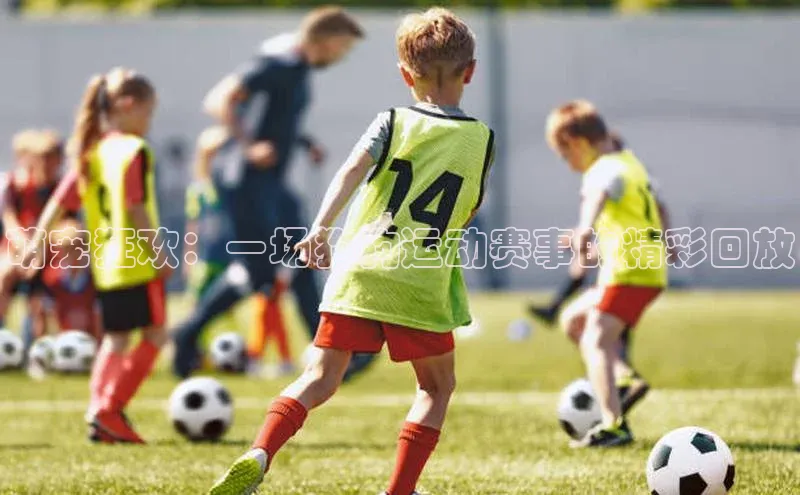 欧陆登录网址一径科技