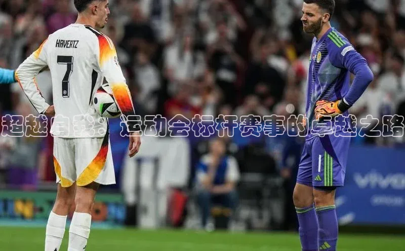 欧陆注册点登录入口官网