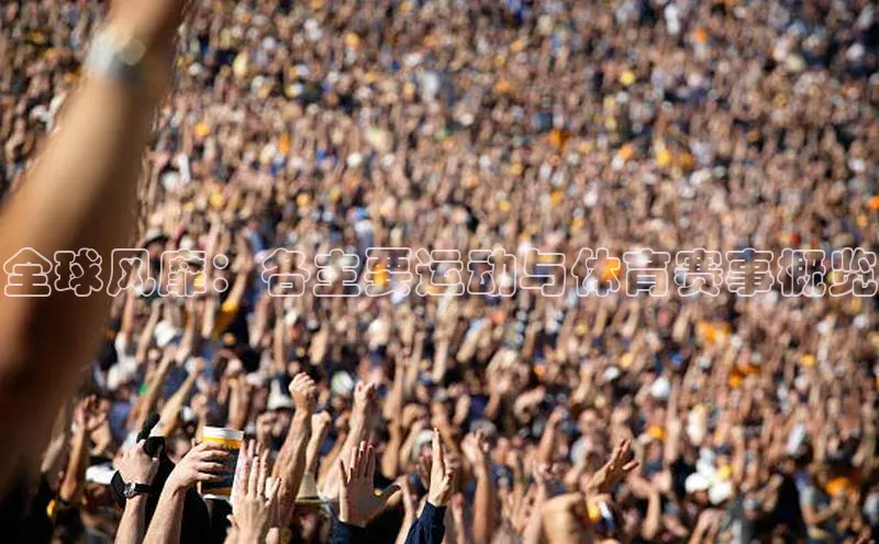 欧陆注册点登录入口官网